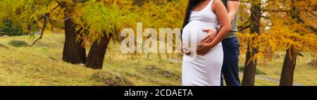Angehende Eltern halten den Bauch mit bunten Herbstlandschaft in Der Hintergrund Stockfoto