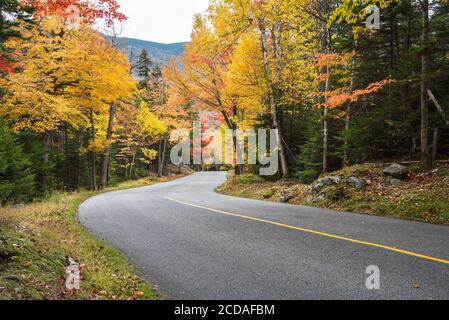 Steile, gewundene Bergstraße durch einen dichten Wald an einem bewölkten Herbsttag. Atemberaubende Herbstfarben. Stockfoto