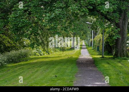 Einsamer schmaler Pfad, gesäumt von Bäumen und Laternenpfosten Ein öffentlicher Park an einem sonnigen Sommertag Stockfoto