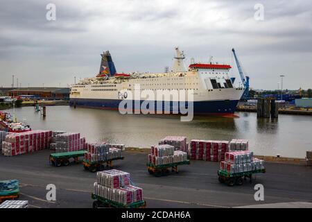 P & O Fähre, Pride of York, Hull nach Zeebrugge, Hull Docks, Hull, Großbritannien Stockfoto