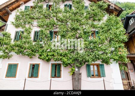 Hallstatt Kleinstadt als Postkartenansicht auf Seeseite in Österreich Stockfoto