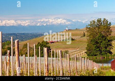 Weinberge und Berge der Region Piemont in der Nähe der Stadt La Morra, Italien Stockfoto