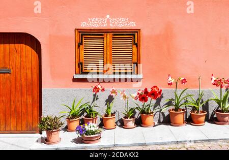 Bunte Wand in Serralunga, Piemont, Italien Stockfoto