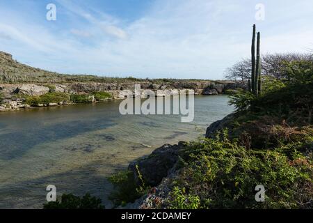 Boka Ascension ist eine Bucht aus der Karibik auf der Nordwestseite der Insel Curacao. Es ist ein beliebter Ort für die Beobachtung von Meeresschildkröten. Stockfoto