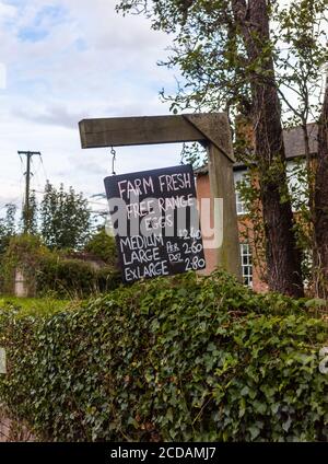Ein Schild, das vor einer Farm hängt und auf den Verkauf von Freilandeiern in Marchwood am Rande des New Forest in Hampshire, England, Großbritannien hinweist Stockfoto