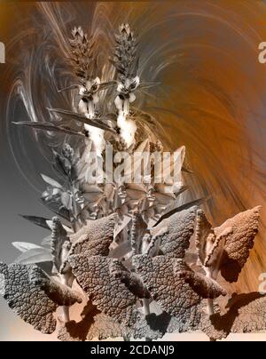 Bild von einem Strauß wilder Blumen auf fraktalem Hintergrund. Stockfoto