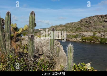 Boka Ascension ist eine Bucht aus der Karibik auf der Nordwestseite der Insel Curacao. Es ist ein beliebter Ort für die Beobachtung von Meeresschildkröten. Zoll Stockfoto