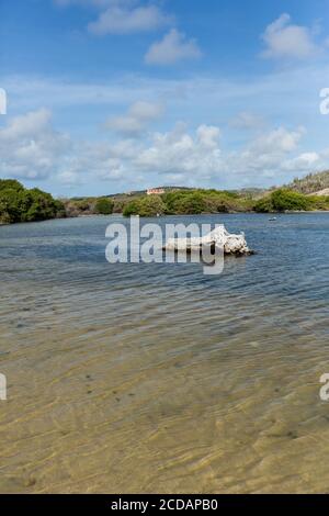 Boka Ascension ist eine Bucht aus der Karibik auf der Nordwestseite der Insel Curacao. Es ist ein beliebter Ort für die Beobachtung von Meeresschildkröten. Zoll Stockfoto