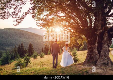 Liebevolles Brautpaar, das bei Sonnenuntergang in den Bergen spazierengeht. Bräutigam und Braut genießen Landschaft unter Baum. Hochzeit Stockfoto