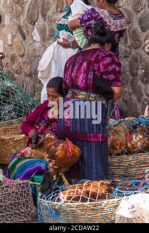 Quiche Maya Frauen verkaufen lebendes Geflügel auf dem Outdoor-Markt in Chichicastenango, Guatemala. Stockfoto