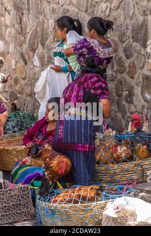 Quiche Maya Frauen verkaufen lebendes Geflügel auf dem Outdoor-Markt in Chichicastenango, Guatemala. Stockfoto