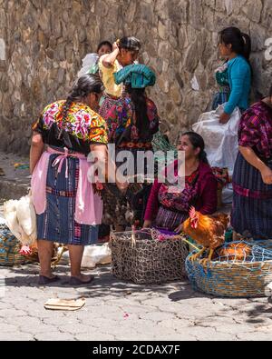 Quiche Maya Frauen verkaufen lebendes Geflügel auf dem Outdoor-Markt in Chichicastenango, Guatemala. Stockfoto