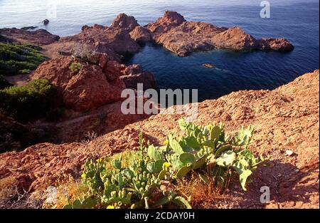 Meeresküste der Goldküste in Esterel Stockfoto