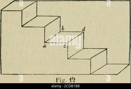 . Études philosophiques : cours complet de Philosophie .. . Fior. 10 Abb. 41 Dans la figure 11, la ligne C paraît à tort la conti-jiuation de la ligne A; cest la ligne B qui en est levéritable prolongement, etc. Lobjectivité des sens externes 191 A ces erreurs de perspective nous devons en ajou-ter une autre espèce encore plus curieuse. Certainesfigures géométriques peuvent être vues, à notre gré,tantôt concaves tantôt convexes, à angles rentrantsou à angles saillants. Gomme exemple, nous repro-duisons ici (Abb. 12) le fameux dessin linéaire de Schro-der représentant un escalier. Nous po Stockfoto