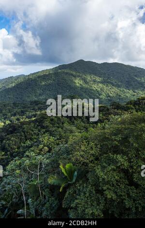 Blick vom Yokahu Tower im El Yunque National Forest in Puerto Rico. Stockfoto