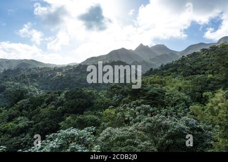 Blick vom Yokahu Tower im El Yunque National Forest in Puerto Rico. Stockfoto