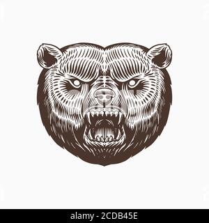 Grizzly Braunbär. Screaming verrückt Tier für Tattoo oder Label. Brüllende Bestie. Graviert Hand gezeichnet Linie Kunst Vintage alte monochrome Skizze. Vektor Stock Vektor