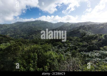 Blick vom Yokahu Tower im El Yunque National Forest in Puerto Rico. Stockfoto