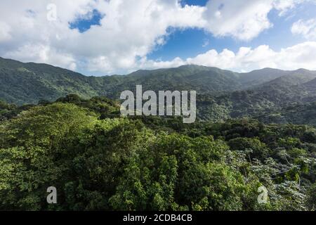 Blick vom Yokahu Tower im El Yunque National Forest in Puerto Rico. Stockfoto