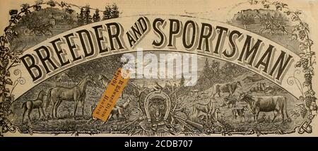 . Züchter und Sportler . SMITH QUNS werden für alle Arten von Munition hergestellt... appucTont0 Hunter Arms Co., Fulton, N.Y. PHIL. B. BEKEART CO., San Francisco, Coast Representative Du Pont Gun Powder RAUCHLOS, SCHUSSWAFFE und MILITÄRPUDER Schwarzes Pulver für Sport- und Sprengzwecke lhe Reputation von hundert Jahren ia die Garantie von DU PONT POWDER C. A BA18HT, Agent. - 519 ml.alon St., Raum 311, San Tiu.im., Cal Sie können diese rauchlosen Pulver in FACTORYLOADED SHELLS DU PONT SCHROTFLINTE RIFLE1TE E. CV BAiriSTTTE SCHU1TZE LAJXIN & RAJTO HAZARD INFAHIBIE1* Was will man mehr?. VOL. ILLV. Nein Stockfoto