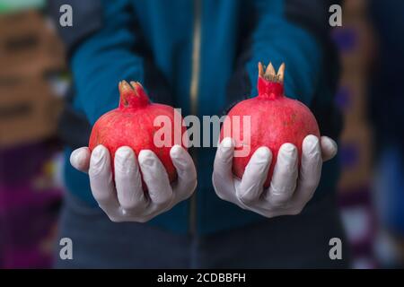 Frische Granatäpfel in Handschuhen auf dem Gemüsemarkt. Gesunde Ernährung Konzept. Hochwertige Fotos Stockfoto