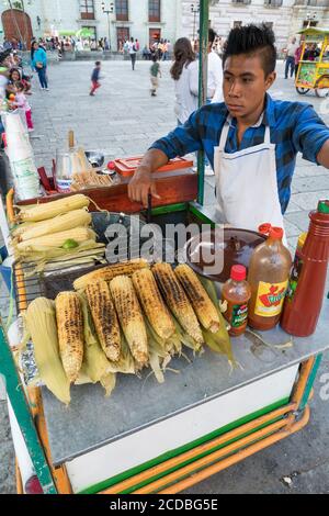 Ein Verkäufer, der Eloten und Ezitate auf dem Zocalo im historischen Zentrum von Oaxaca, Mexiko verkauft. Elotes sind Mais auf dem Kob, die zuerst gekocht werden, dann Stockfoto