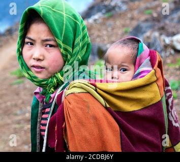 Terrassenförmig angelegtes Reisfeld im Nebel und Morgenstrahl in Mu Cang Chai Vietnam Stockfoto