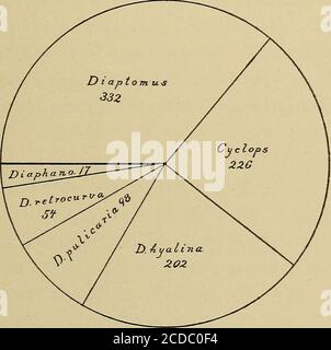 . Die Krustengewässer des Planktons, Juli, 1894-Dez., 1896 . Abb. 11. – Crustacea, September 16-30,1894.. Abb. 12. – Crustacea, 16.-30. September 1895. Stockfoto