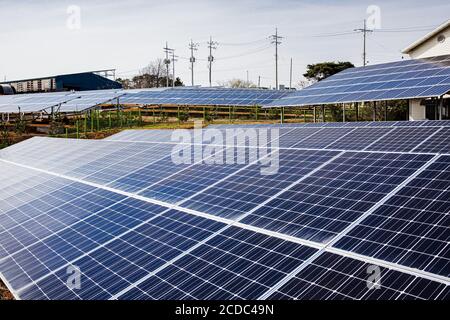 Green Energy Konzept, Sonnenkollektoren und Windkraftanlagen 014 Stockfoto