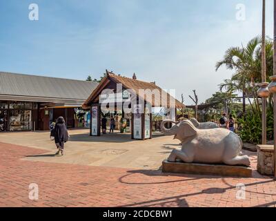 Taronga Zoo an einem sonnigen Sommernachmittag Stockfoto