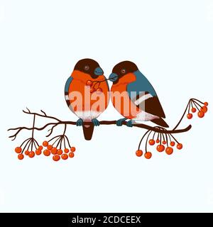 Weihnachten niedliche Postkarte mit Bullfinken und Schneeflocken Stock Vektor