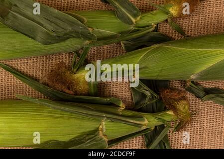 Maiskolben in den auf der Sackleinen angesparten Schalen. Stockfoto