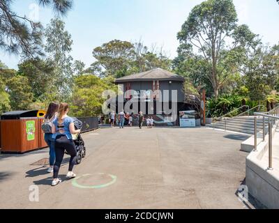 Besucher zu Fuß im Taronga Zoo an einem sonnigen Sommernachmittag Stockfoto