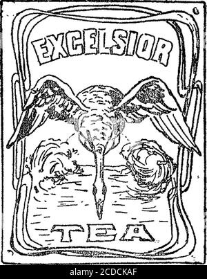 . Boletín Oficial de la República Argentinien. 1905 1ra sección . Stockfoto
