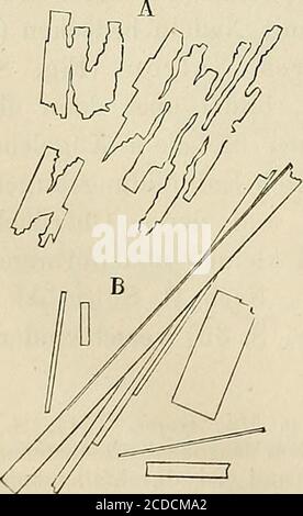 . Das mikroskop : Theorie, gebrauch, geschichte und gegenwärtiger zustand dezelben . Hippursäure... Abb. Stockfoto