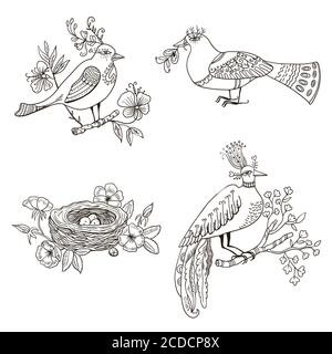 Erstaunliche Märchen Fantasie Vögel und Nest isoliert auf weißem Hintergrund Stock Vektor