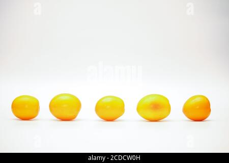Isolierte Reihe von gelben reifen Tomaten über auf weißem Hintergrund Stockfoto