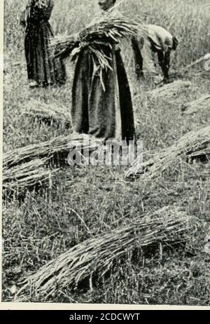 . Dinge, die man in Spanien gesehen hat. Mit fünfzig illus . Stockfoto