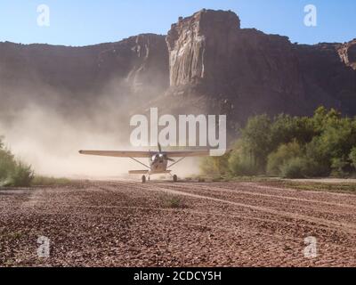 Ein Cessna 185 Skywagon der Utah Backcountry Pilots Association landet auf der Mineral Bottom Airstrip im Labyrinth Canyon in der Nähe von Moab, Utah. Stockfoto