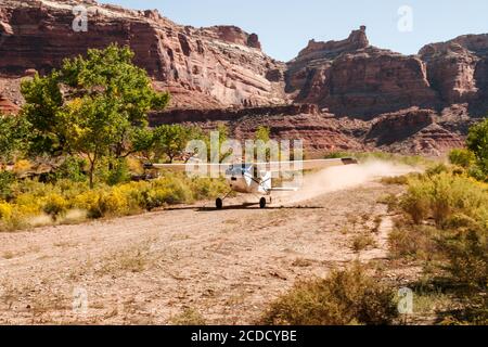 Ein Cessna 185 Skywagon der Utah Backcountry Pilots Association Taxis auf der abgelegenen mexikanischen Bergflugbahn auf dem San Rafael Swell in Utah. Das S Stockfoto