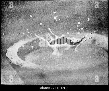 . Kanadas Metalle; ein Vortrag auf der Toronto-Sitzung der britischen Vereinigung für die Förderung der Wissenschaft, 20. August 1897 gehalten. Abb. 5-- Goldkugel nähert sich einem Pool von geschmolzenem Gold.. Abb. 6. - Splash von der gleichen Kugel über Xioth einer Sekunde nach Kontakt mit dem geschmolzenen Gold produziert. Stockfoto