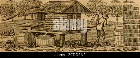 . Webster Kalender, oder, die Albany, Columbia, Montgomery, und Washington almanack, für das Jahr unseres Herrn ... . 17 6 35 5 25 8 20 2 20 6 3? 5 23 * 9 45 3 24 6.38 5 22 10 45 4 26 6 89 5 21 VS 11 45 5 20 6 40 5 20 morn 6 16 6 42 5 18 %SVS 1 54 7 4 6 4o 5 17 1 2 0 7 50 6 44 5 16 3 50 8 32 6 45 -, 15 :-: 4 54 9 14 6 47 5 18 5 54 9 56 6 48 5 12 T steigt 10 38 6 49 5 11 5 2 11 22 6 50 5 10 A 6 4 1 28 das Hauptgeschäft des Oktober in der großen Wirtschaft der Natur ist die Disse, Die unter anderem durch die hohen Winde, die jetzt zurückkehren, durchgeführt wird, und seine hauptsächliche Schönheit steigt aus den Lichtern an Stockfoto