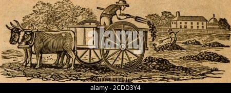 . Webster Kalender, oder, die Albany, Columbia, Montgomery, und Washington almanack, für das Jahr unseres Herrn ... . 6 6 ? &gt; 54 3 24 6 58 6 4 0 5(5 3 54 7 52 6 3 •) 57 -j 4 30 8 42 6 1 •&gt; 59 Sätze. 9 24 6 0 6 0 TSR 4 16 10 12 5 59 « 1 5 14 10 54 5 57 *; 3 y 6 12 11 34 5 56 &lt;; 4 7 13 morn 5 55 6 5 8 15 0 15 5 53 0 7 ! 9 13 0 56 5 52 6 8 10 12 1 39 5 51 6 9 A 11 14 2 24 5 49 6 11 12 15 3 12 5 48 &lt;; 12 morn 4 2 ) 47 45 i; 15 2 40 5 46 in Wahrheit gibt es keine Alchemie wie Errettung. Die Zeiten lehren uns dieBedeutung des Vorsehens, und die Haltung ehrliche Einkommen. Allexperience Blicke sh Stockfoto