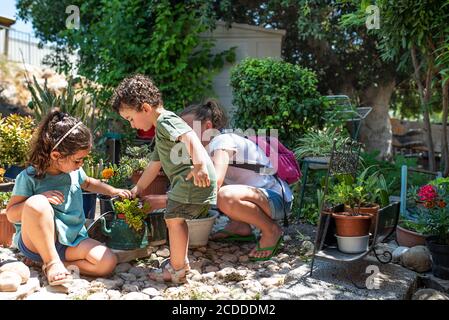 Leben. Drei Kinder im Garten, die Blumen in Blumentöpfen betrachten. Topfpflanze Sukkulente in einer Teekanne statt einer Blumentopf, recycelt Idee. Stockfoto