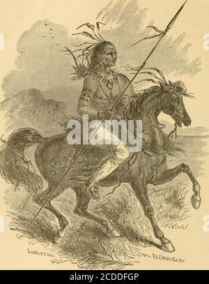 . Die Geschichte von will County, Illinois, mit einer Geschichte der Grafschaft .. . oder das Outfit. Am 6. Juli 1669, die Partei, Nummerierung vierundzwanzig Personen, in sieben Kanus auf dem St. Lawrence einschiffte; zwei zusätzliche Kanonen trugen die indischen Führer. In drei Tagen glitten sie über den Schoß des Lake Ontario. Ihre Führer führten sie direkt in das Dorf Seneca am Ufer des Genesee, in der Nähe der presentCity of Rochester, New York. Hier erwarteten sie Pi*ocure Führer, um sie in den Ohio zu dirigieren, l)ut in diesem waren sie enttäuscht. Die Inder schienen unfreundlich zu sein Stockfoto
