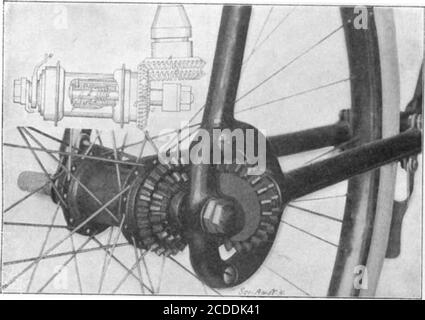 . Scientific American Band 86 Nummer 14 (April 1902) . die sie lügen. Viele unserer wichtigsten Erfindungen sind das Ergebnis weniger tiefem Wissen als der Kraft der Beobachtung und der Fähigkeit, die Möglichkeiten von Phänomenen zu schätzen, so dass die weniger Beobachtenden ohne zu sehen vorübergehen würden. April 1902. SCIENTIFIC AMERICAN 243 DER KETTENLOSE-FAHRRAD RÜCKFAHRBREMSE-GETRIEBEWECHSLER. Prom das Aufkommen der Sicherheitsfahrrad-Inventarenbegann, um Geschwindigkeit ändernde Getriebe zu entwickeln, die, als generale Regel, waren so furchterregend kompliziert, als zu beymousable völlig undurchführbar. Schwierig wie das Problem hasLcen, Stockfoto