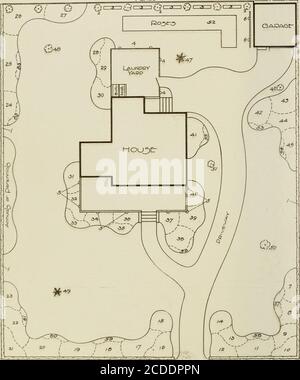 . Ein praktisches Handbuch von Bäumen, Sträuchern, Reben und Stauden . c i > j^-, .JL^^i^ F-Er/40Cr. v^lCpCrV^^^UK vScole o >5 /o zo ^o r^e.est PFLANZLISTE FÜR PLAN NUMMER EINS. Liste Nr. Planta 1 290 Berheris thunbergii. Japanische Beeren. Oder Ligustrum ovali^ folium. California Privets, 1 Fuß auseinander gepflanzt werden. 2 9 Populus nigra var. italica. Lombardei Poplars. 3 25 Althaa rosea. Hollyhocks, 1 Fuß auseinander gepflanzt werden. 4 4 Vines wie folgt:] Lonicera japonica var. Halliana. Hallen Honeysuckle.1 Clematis paniculata. Panikelblühende Clematis.1 Ampelopsis quinquefolia. Vir Stockfoto