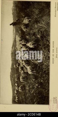 . Die Kunst der niederländischen Galerien : Als eine Geschichte der niederländischen Schule der Malerei beleuchtet und demonstriert durch kritische Beschreibungen der großen Gemälde in den vielen Galerien . und wir sehen Napoleonpersönlich befehligen eine Batterie von Artillerie in der Nähe der Farm Aliance, während sein Bruder Jerome an-niunces ihm auch die Ankunft der preussischen Armee. Während dieses Gemälde für seine patriotische Spiritis eine überaus beliebte Leinwand, seine künstlerischen Wert ist nicht groß. Ein Gemälde von Otto Eerelman erinnert an den Eingang der Königin Wilhelmina in Amsterdam zur Krönung. Weiter finden wir in dieser galle Stockfoto