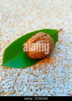 Nahaufnahme einer Walnuss auf einem grünen Blatt mit Ein weißer und gelber Mosaikstein als Hintergrund Stockfoto