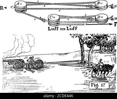 . Probleme in der Physik. Abgeleitet aus militärischen Situationen und Erfahrung . Überholung. Was ist sein mechanischer Vorteil? Wie stark muss das schwerere Seil sein? BLÖCKE UND TACKLE 53 80. Was ist die Belastung für das Seil, das den oberen Block unterstützt? Am Haken des unteren Blocks? 81. Wie schwer könnte Ihrer Meinung nach eine Kanone mit der in Abbildung 16 gezeigten Takelage angehoben werden? Studieren Sie die Skizze und machen Sie notwendige Schätzungen und Annahmen. 82. Was ist der maximale mechanische Vorteil, den Sie mit der Ausrüstung aus Abbildung 16 sichern können, wenn Sie eine andere Seillänge haben? 83. Wenn Sie eine Last von 1,200 Pfund haben Stockfoto